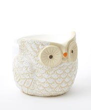 Load image into Gallery viewer, Winston the Owl Cement 15 oz Soy Jar Candle